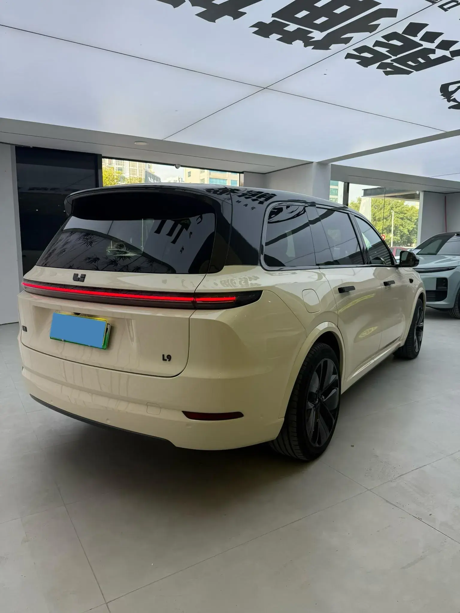 2022 LI L9 thumbnail 3