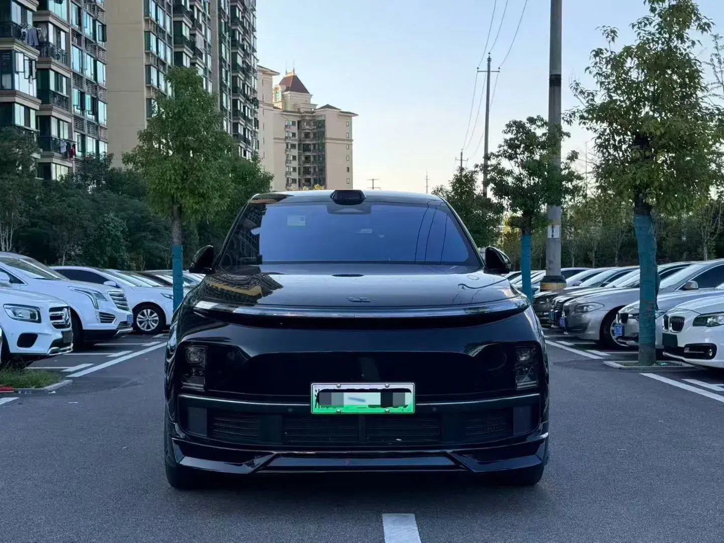 2022 LI L9 thumbnail 2