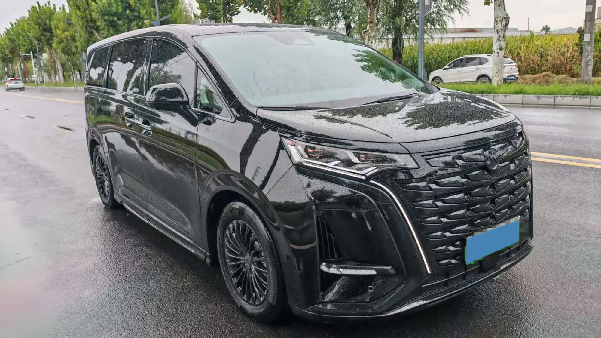 2024 DENZA D9 thumbnail 2