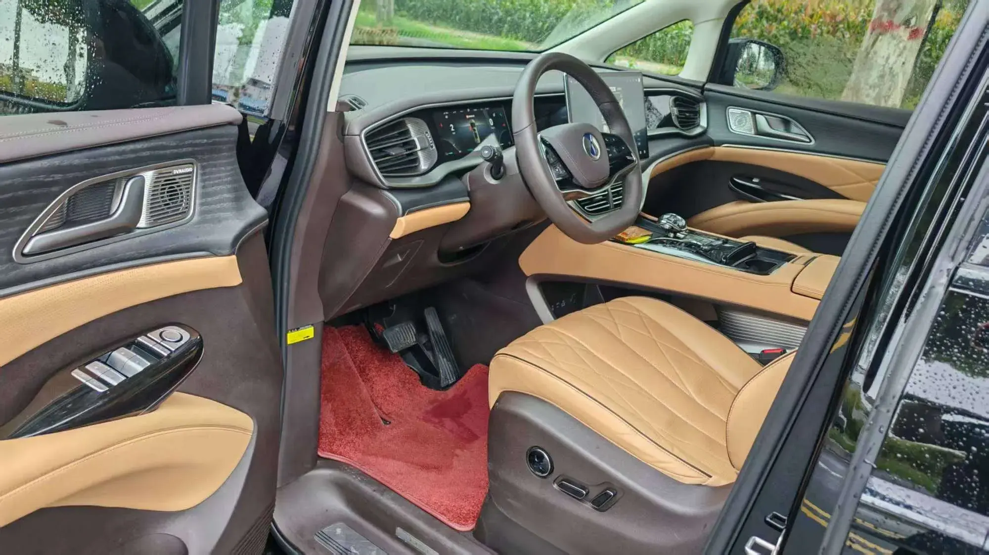 2024 DENZA D9 thumbnail 3