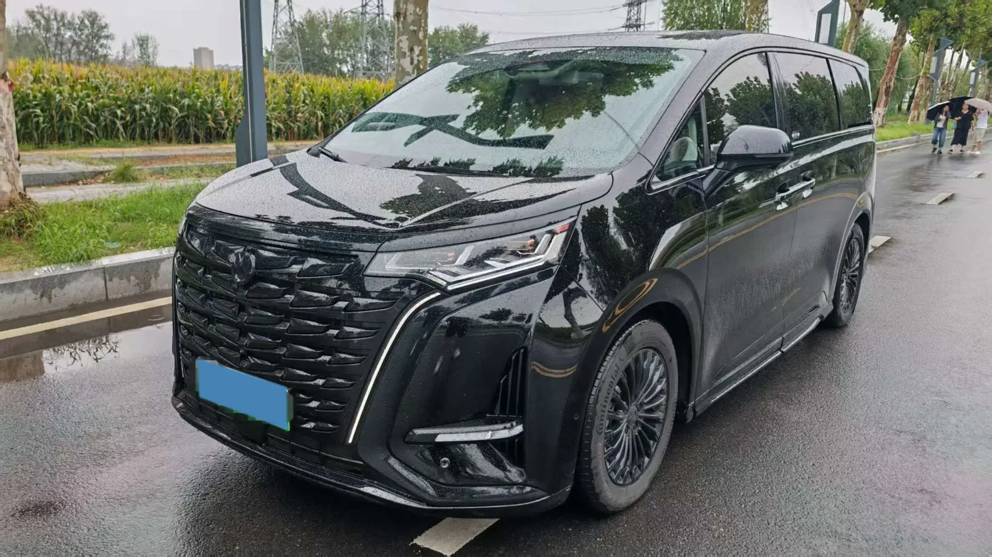 2024 DENZA D9 view 1