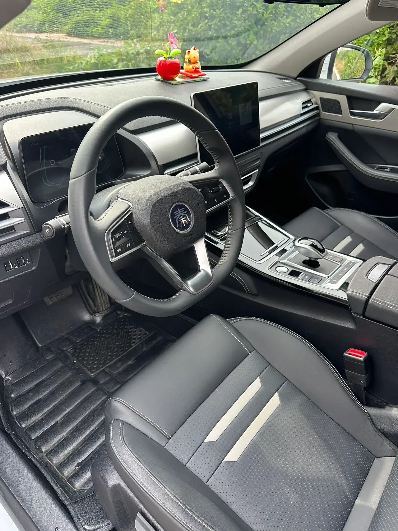 2019 BYD QIN thumbnail 3