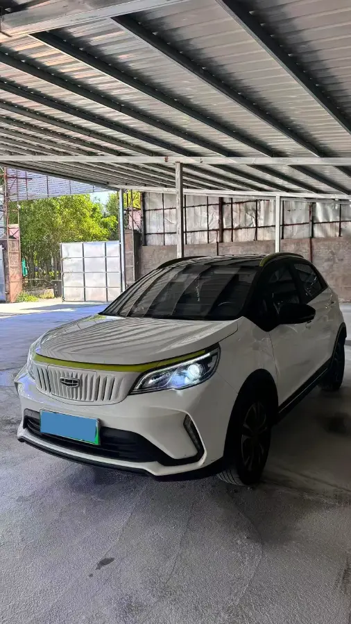 2021 Geometry EX3 BEV 37.23KWH