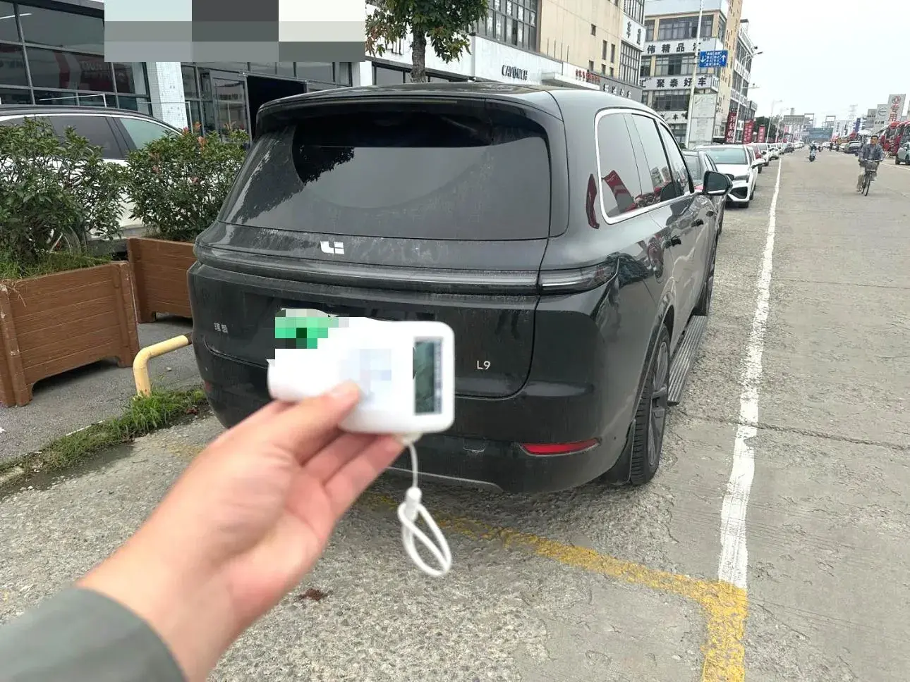 2022 LI L9 thumbnail 4