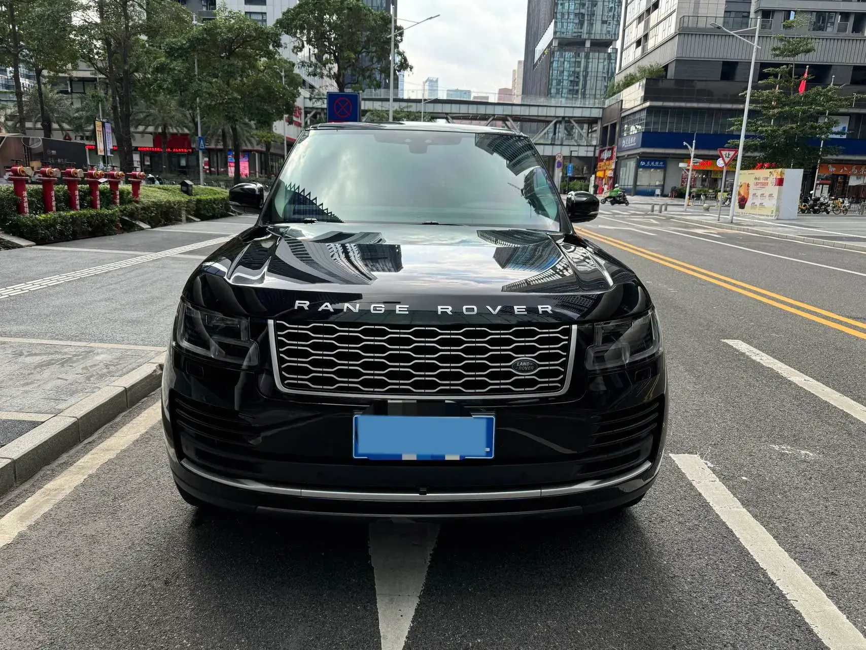 2019 LAND ROVER thumbnail 3