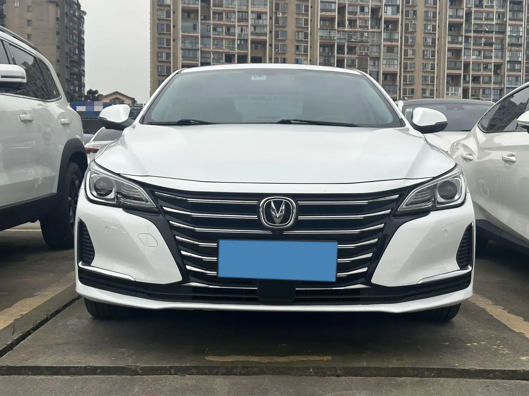 2020 CHANGAN RAETON thumbnail 2