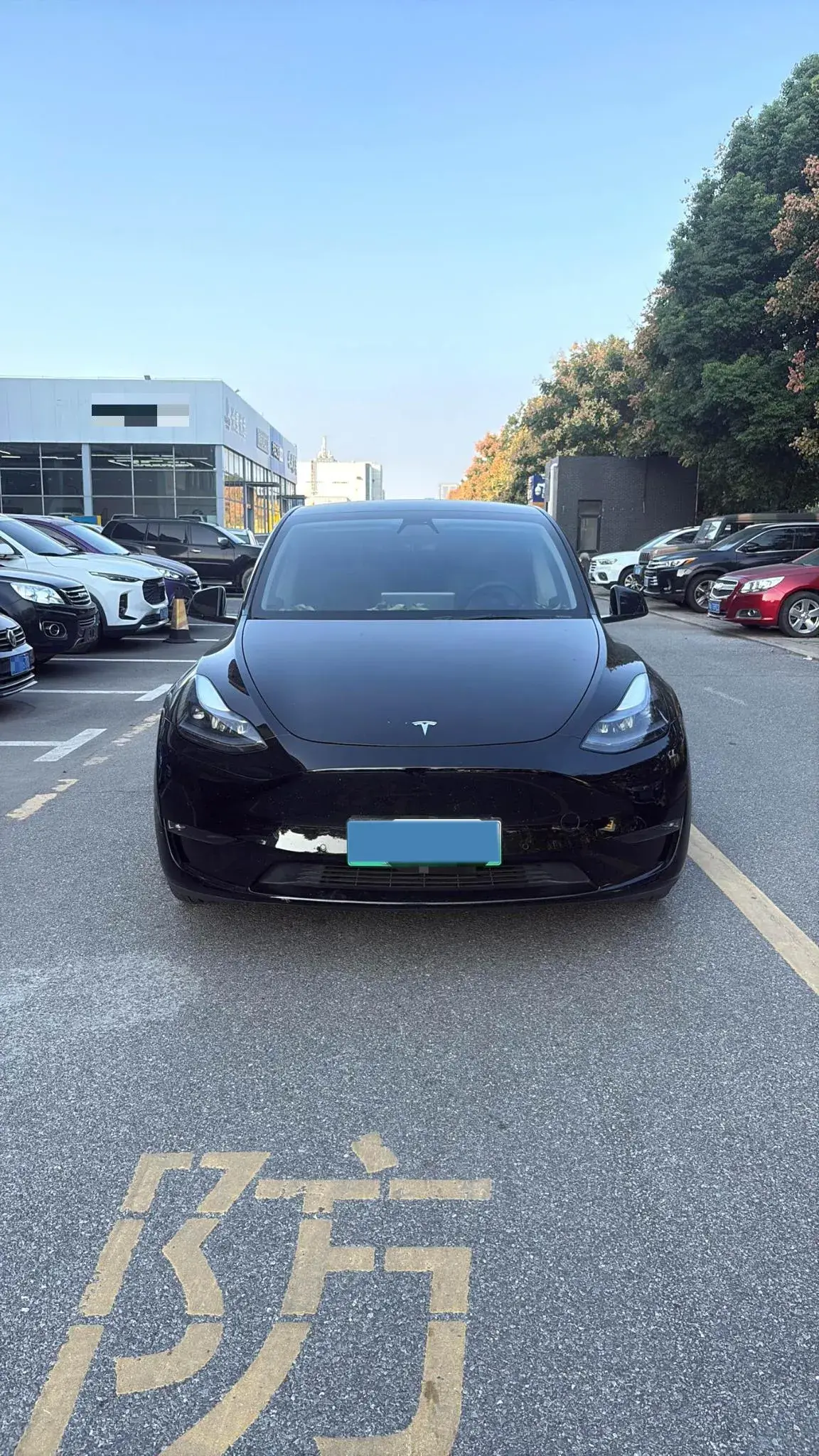 2021 TESLA MODEL thumbnail 2