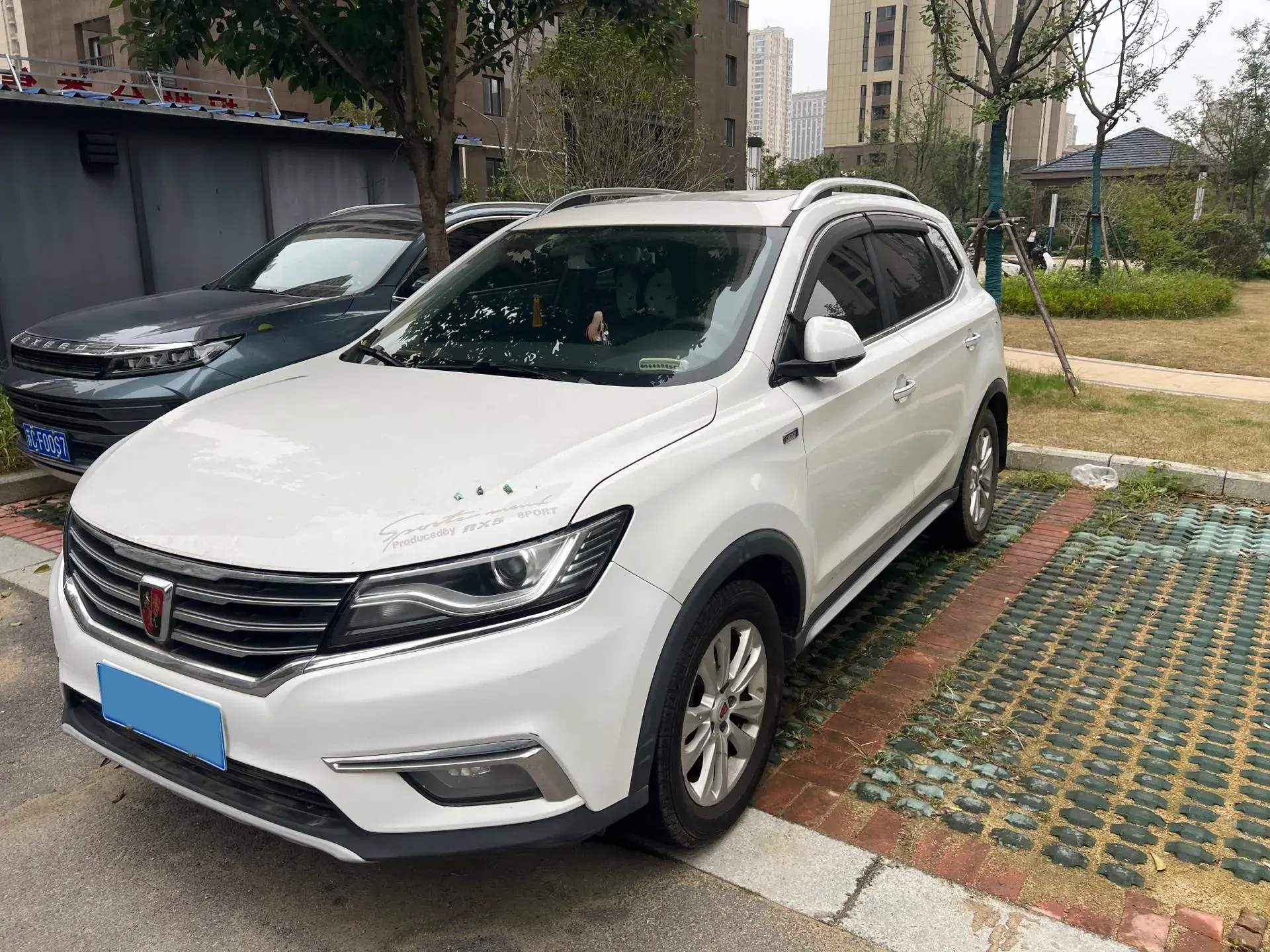2018 ROEWE RX5 view 1