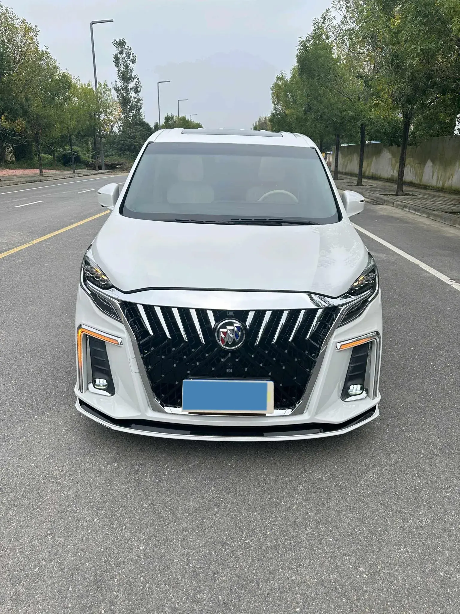 2020 BUICK GL8 thumbnail 3