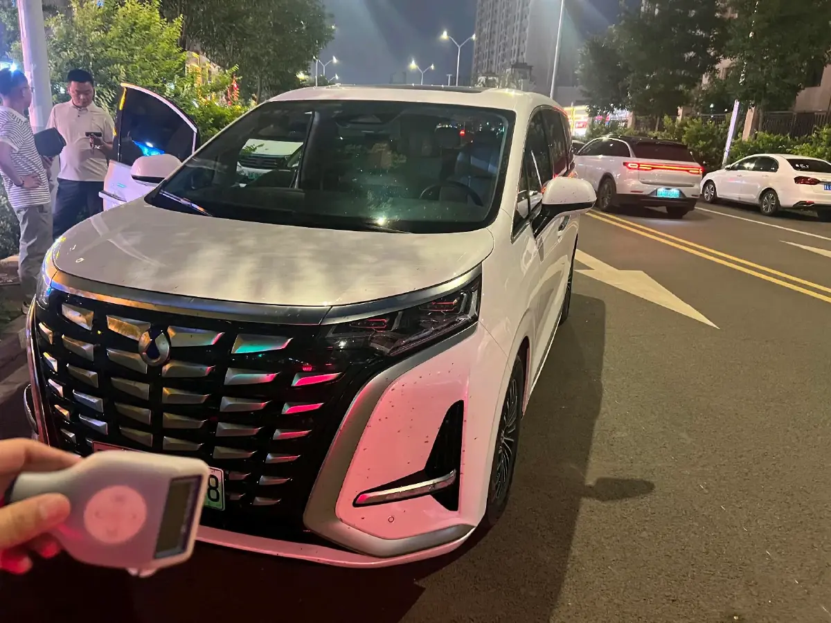 2022 Denza D9 1.5T 139HP L4 E-CVT PHEV 40.06KWH