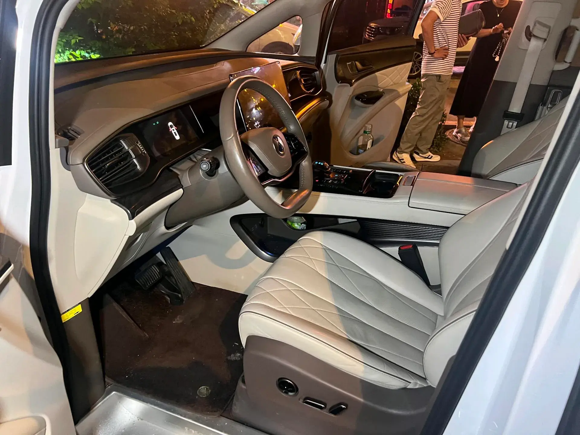 2022 DENZA D9 thumbnail 4