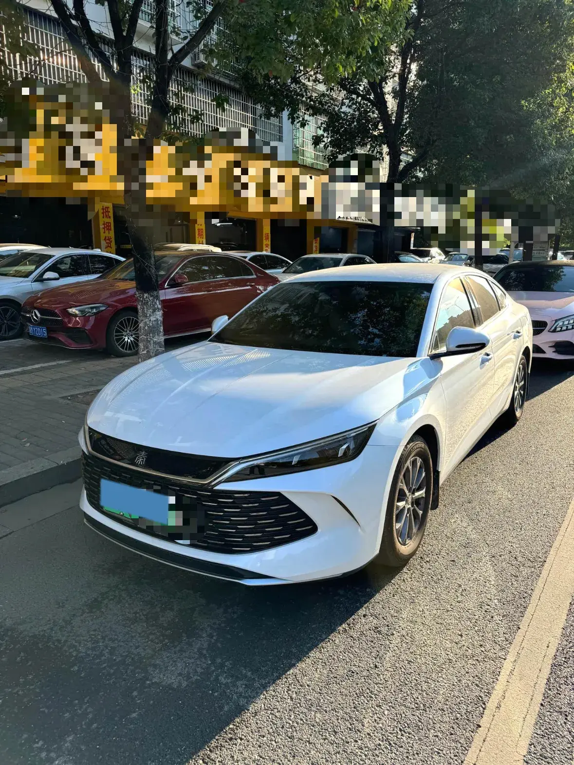 2024 BYD QINL view 1