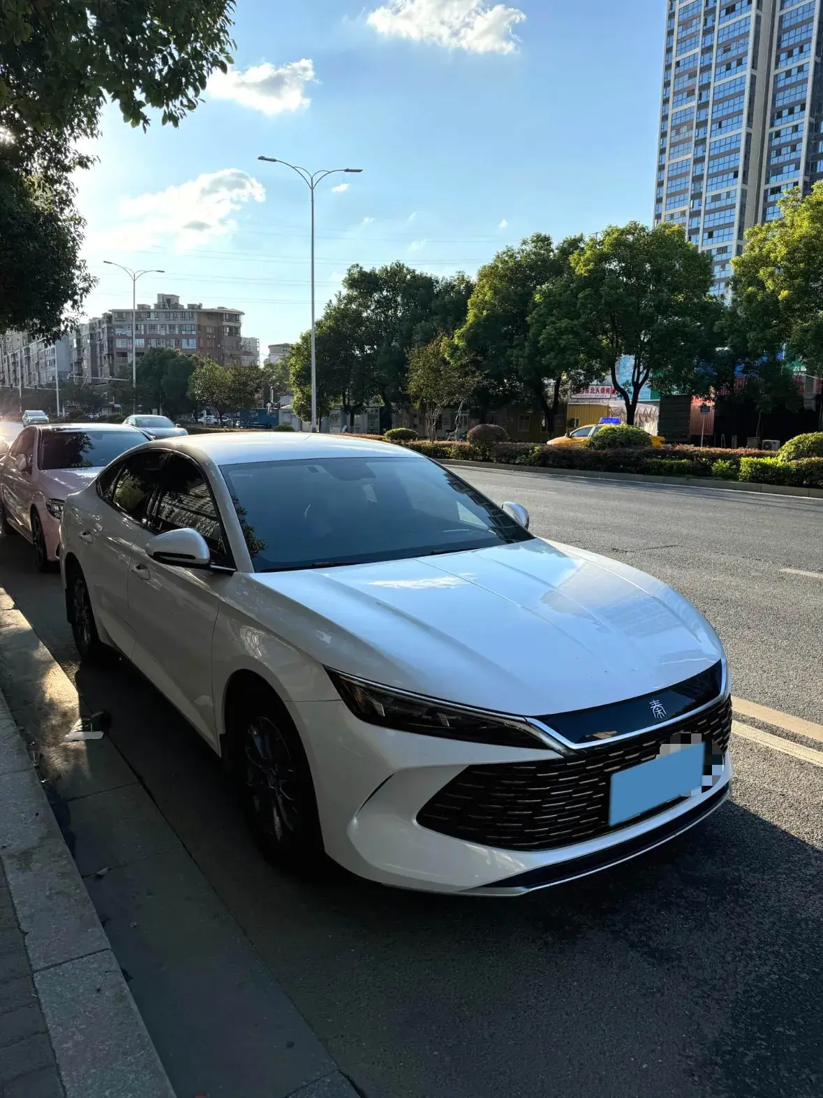 2024 BYD QINL thumbnail 2