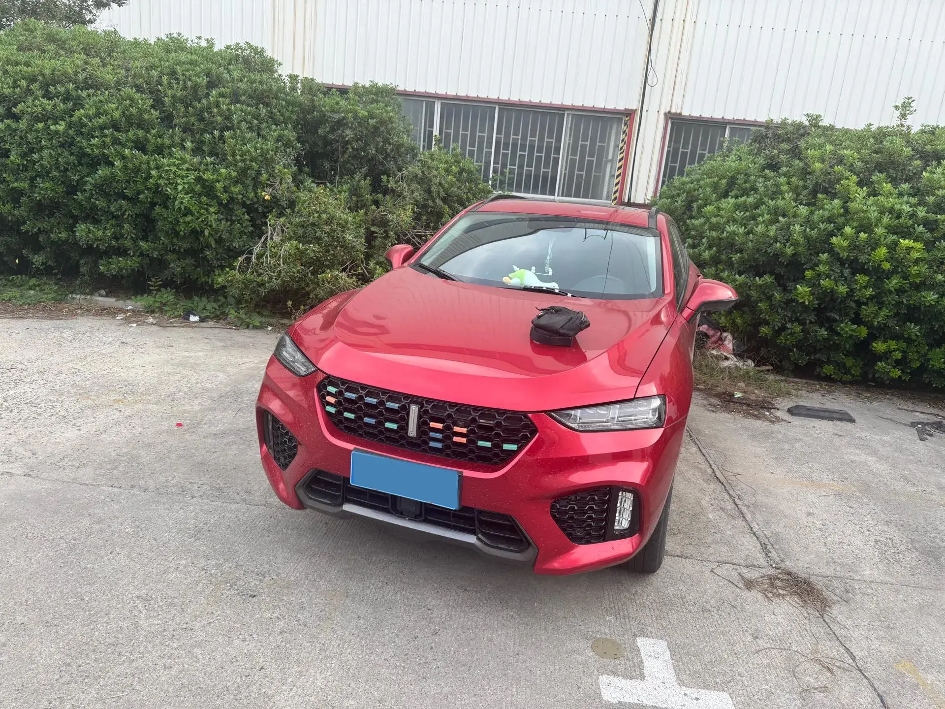 2017 WEY VV5 thumbnail 2