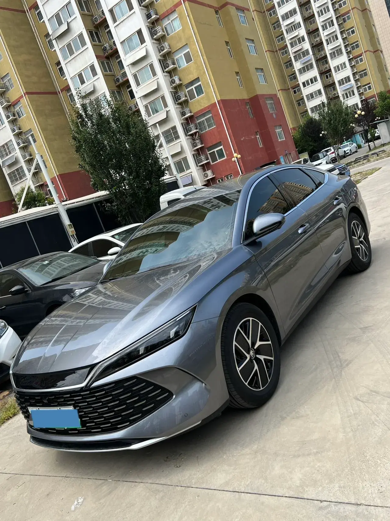 2024 BYD QINL view 1