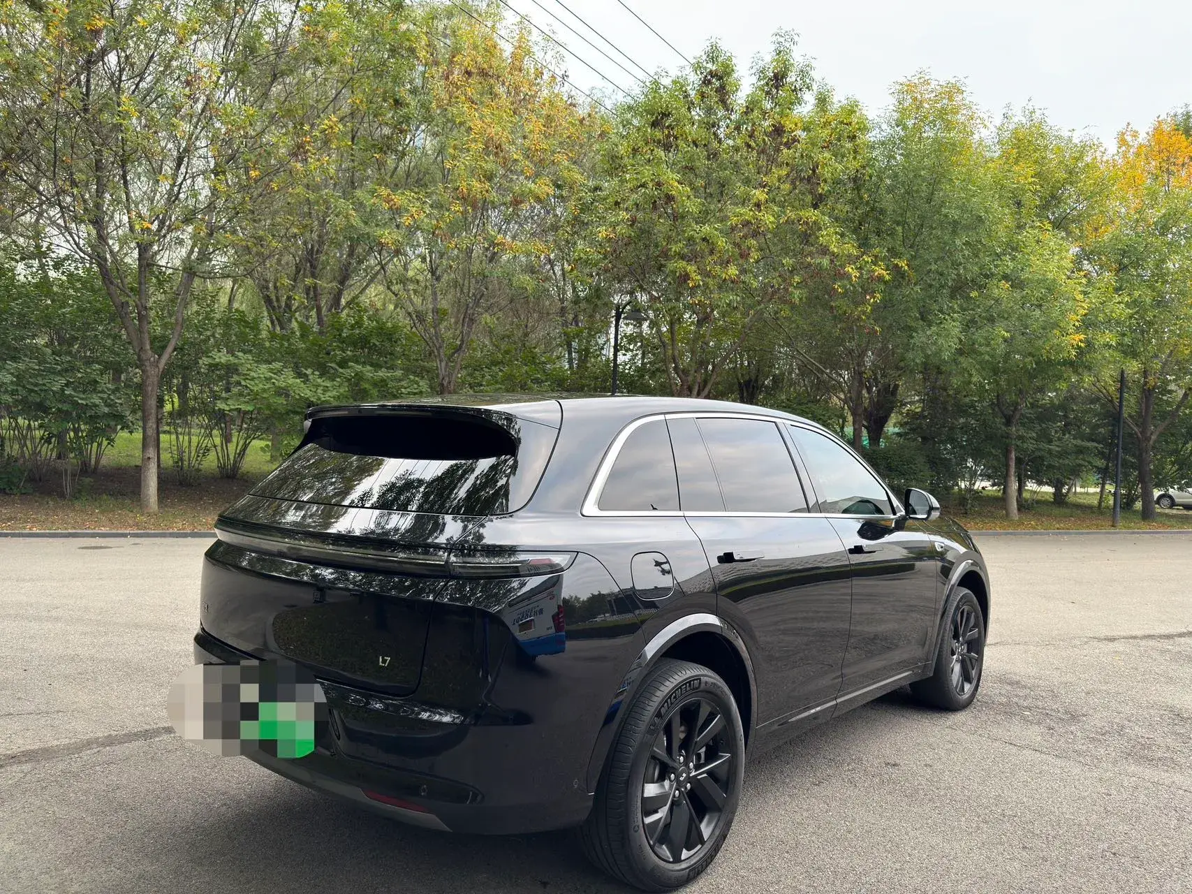 2023 LI L7 thumbnail 4