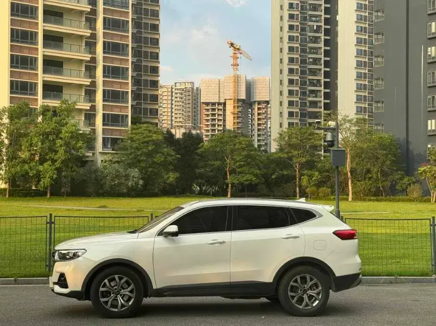 2021 HAVAL H6 thumbnail 2