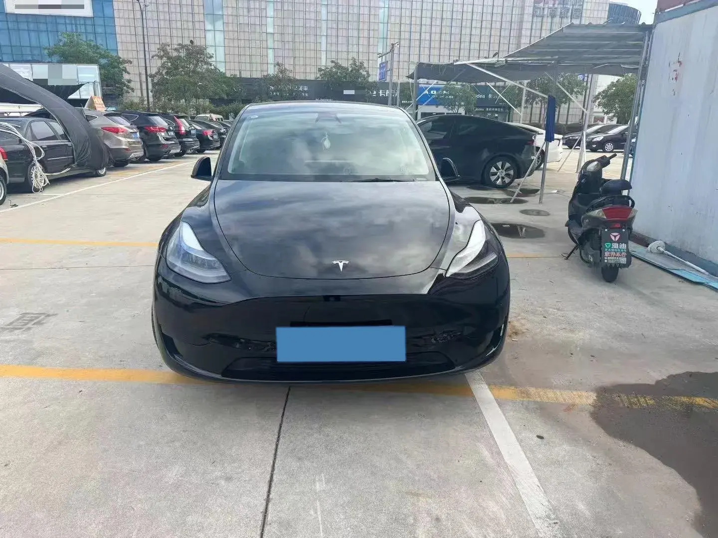 2022 TESLA MODEL thumbnail 3