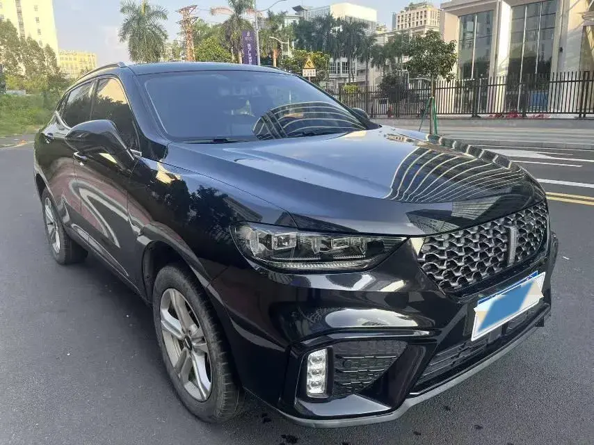 2020 WEY VV5 thumbnail 3