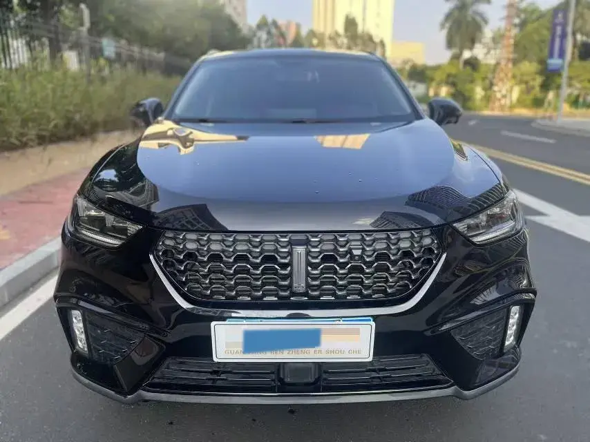 2020 WEY VV5 thumbnail 2