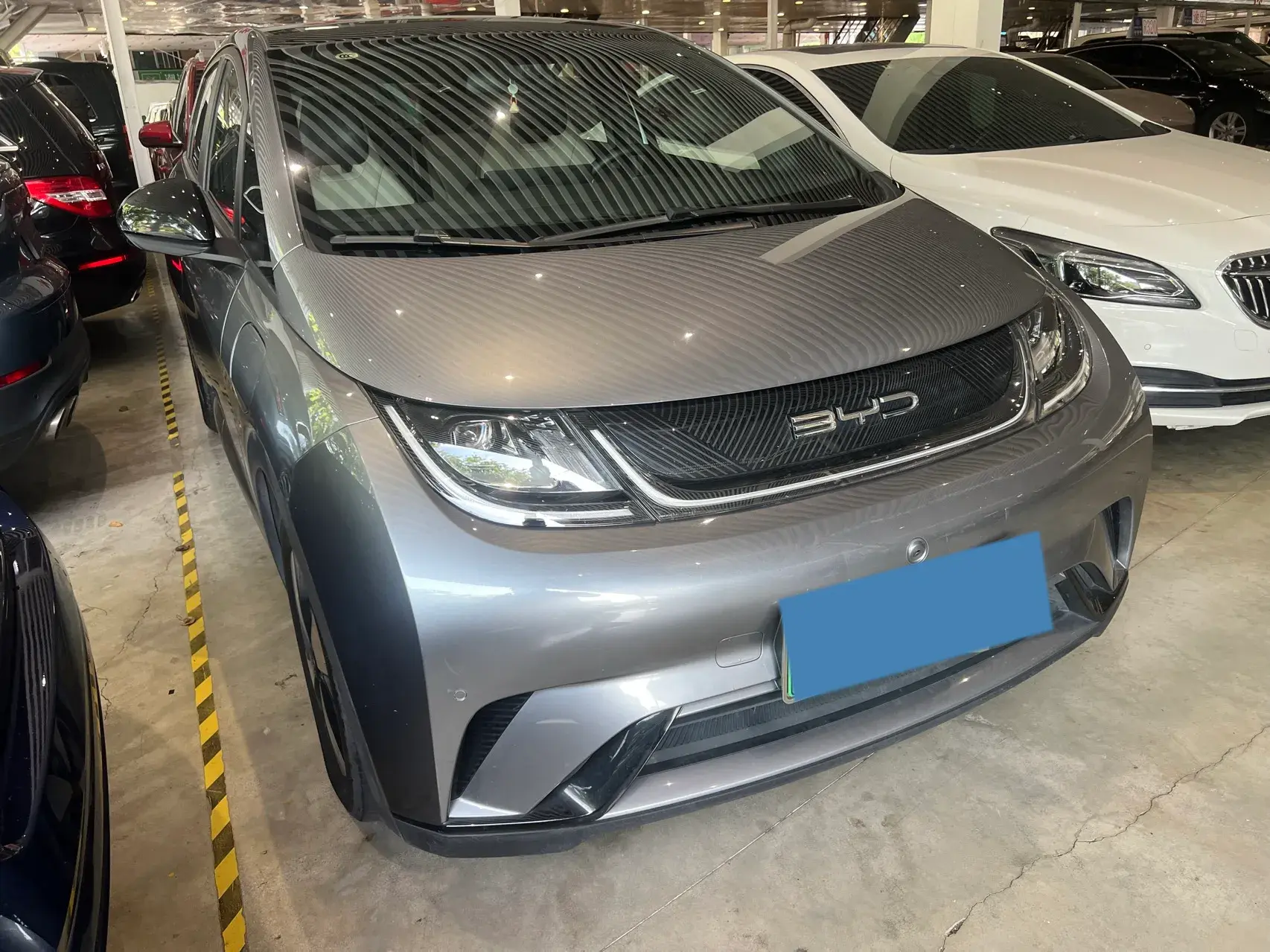 2023 BYD DOLPHIN thumbnail 2