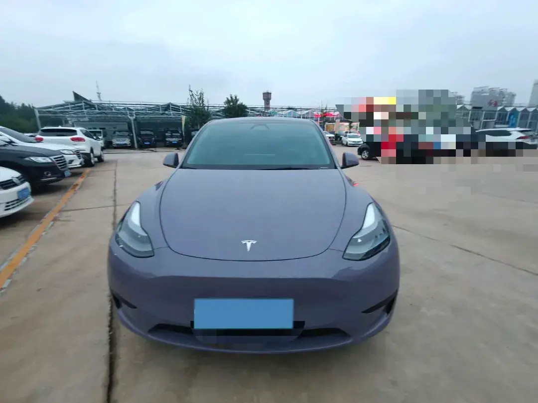 2024 TESLA MODEL thumbnail 3