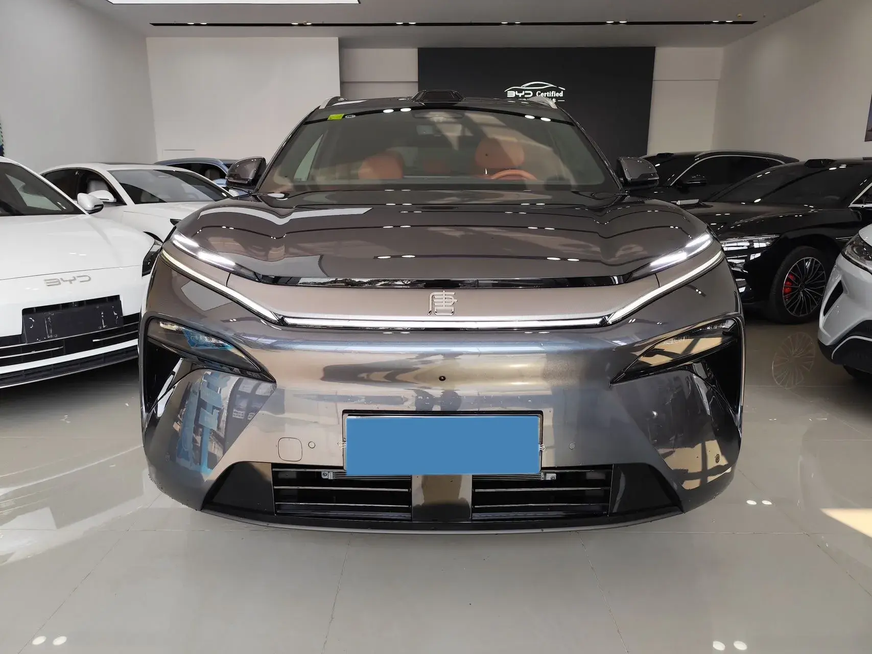 2025 BYD TANGL thumbnail 2