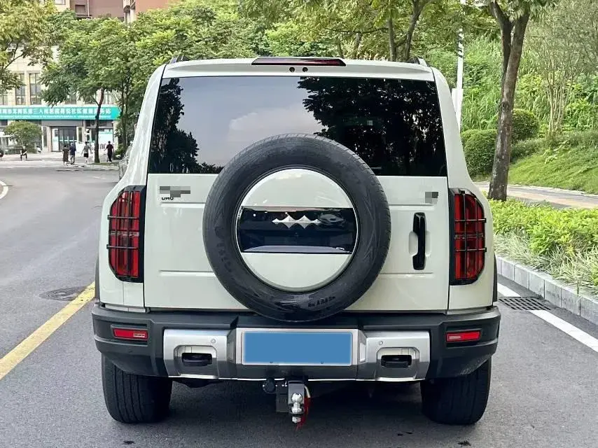 2024 FANGCHENGBAO BAO thumbnail 4