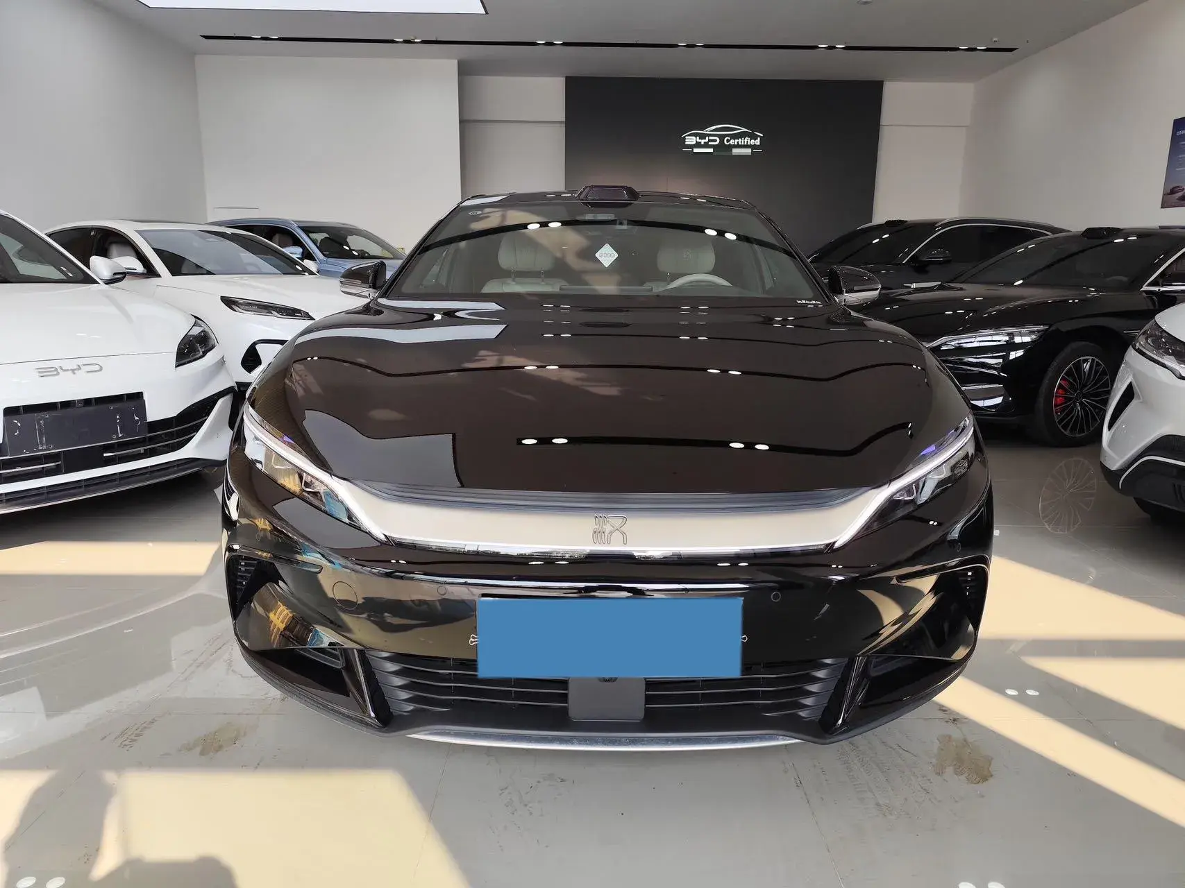 2025 BYD HAN thumbnail 2