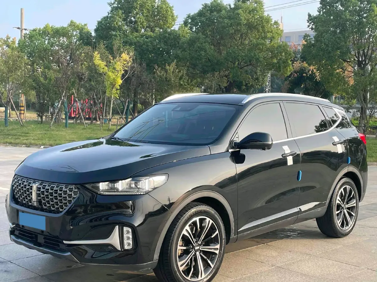 2021 WEY VV6 2.0T 227HP L4 7DCT