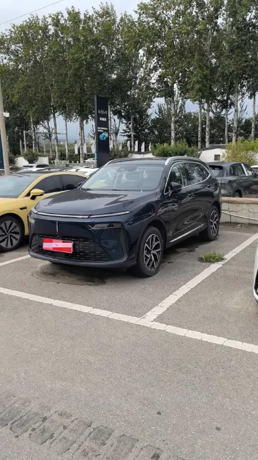 2022 WEY Latte 1.5T 156HP L4 2DHT PHEV 34KWH