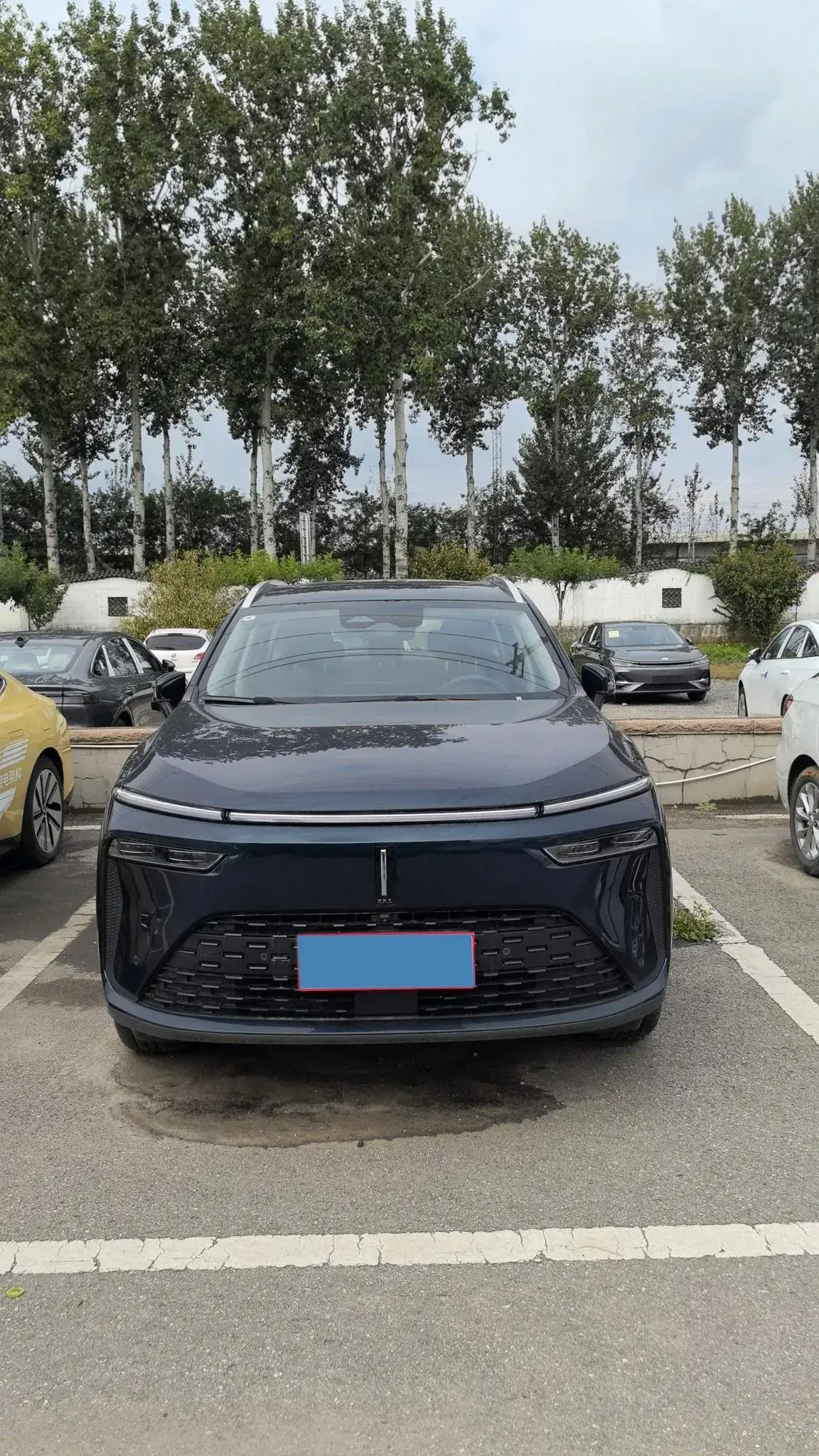 2022 WEY LATTE thumbnail 2