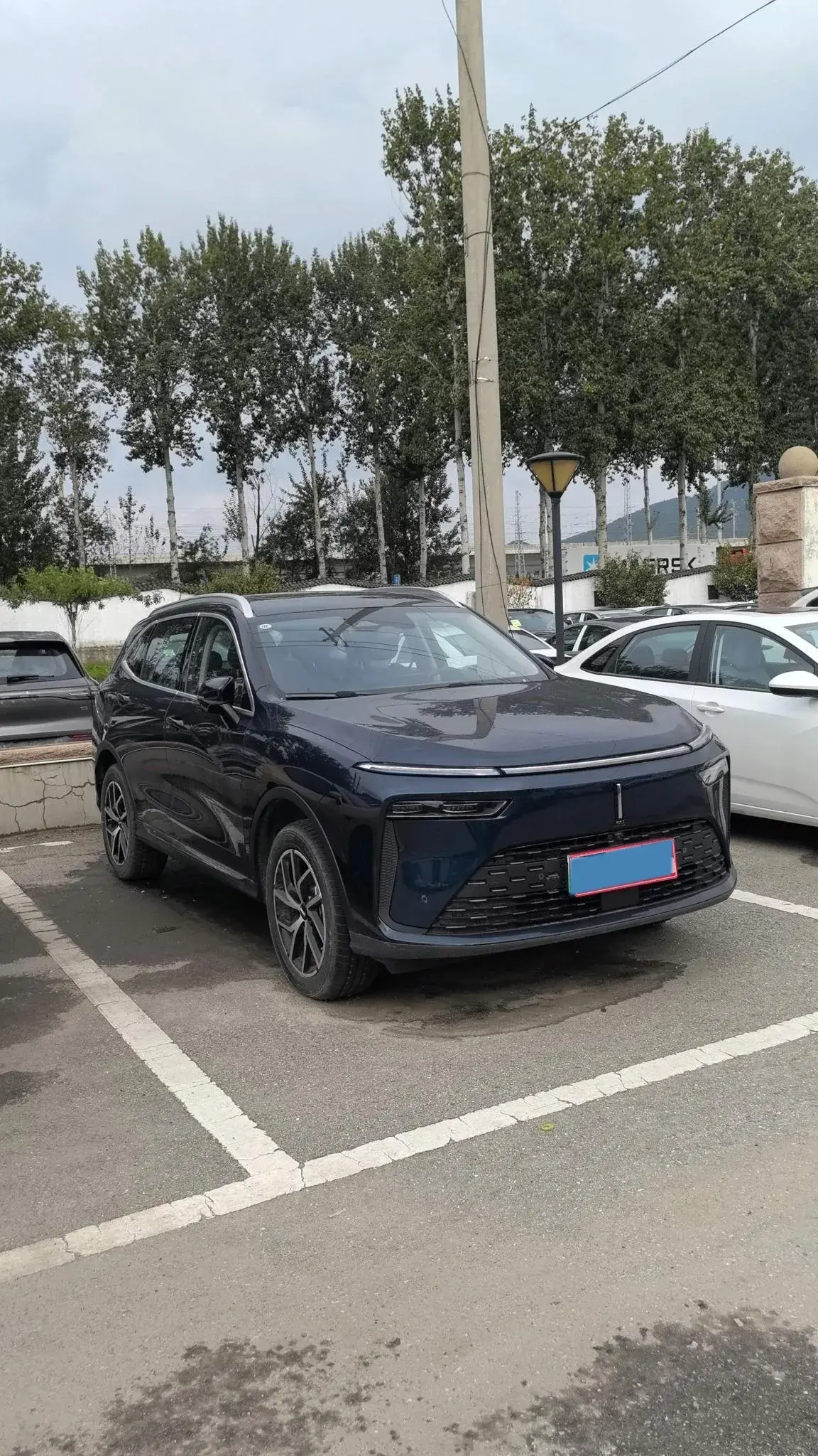 2022 WEY LATTE thumbnail 3