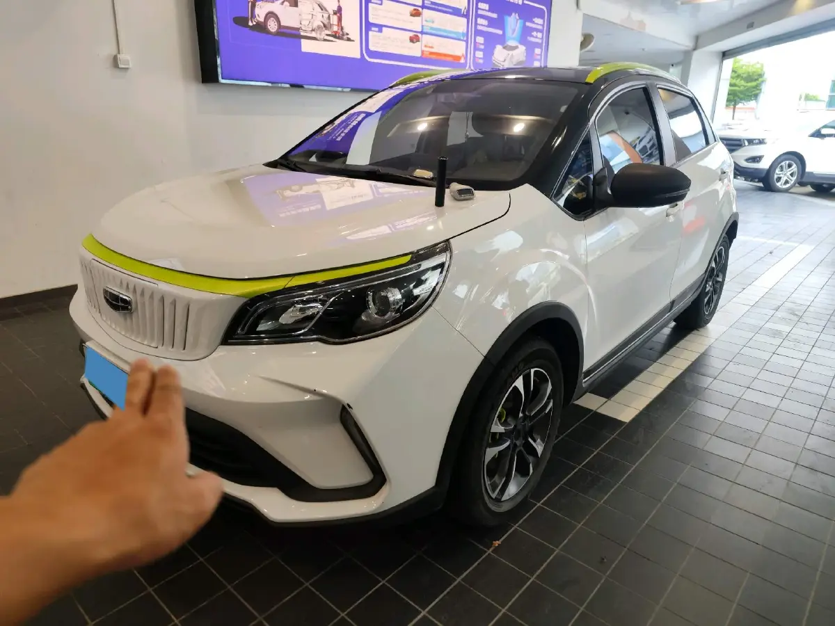 2021 Geometry EX3 BEV 37.23KWH