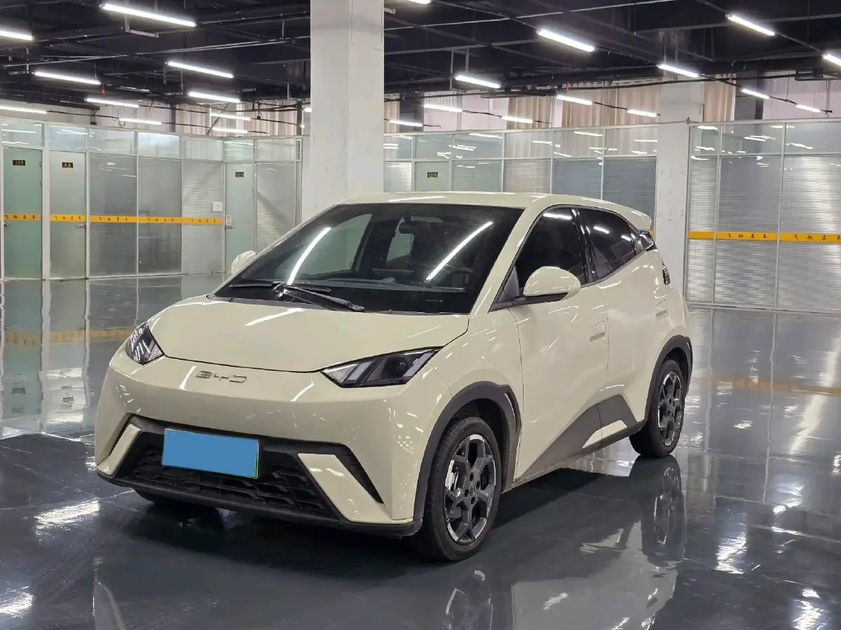 2024 BYD Seagull BEV 38.88KWH