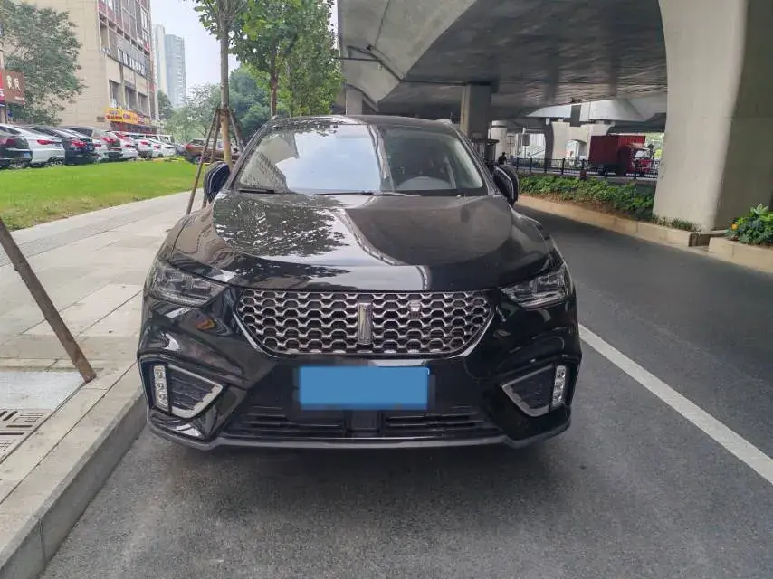 2020 WEY VV5 thumbnail 2