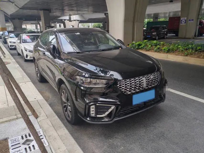 2020 WEY VV5 thumbnail 3