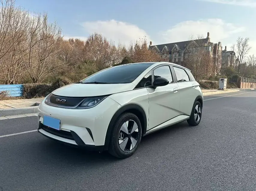2024 BYD Dolphin BEV 44.928KWH