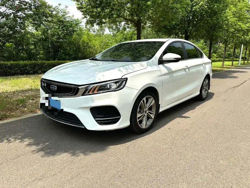 2020 GEELY BINRAY view 1