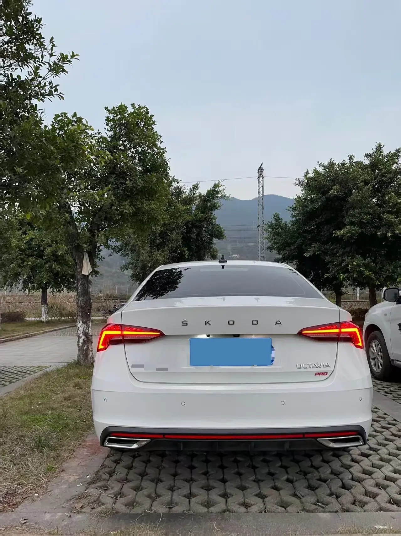 2021 SKODA OCTAVIA thumbnail 3