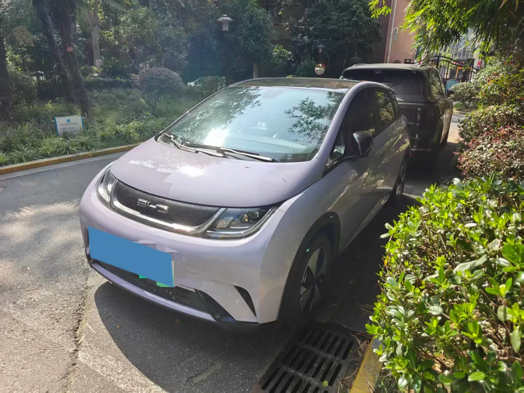 2023 BYD DOLPHIN view 1