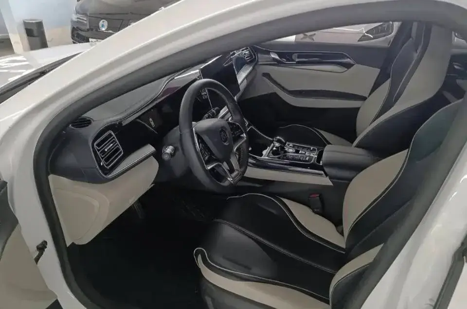 2021 BYD QIN thumbnail 2