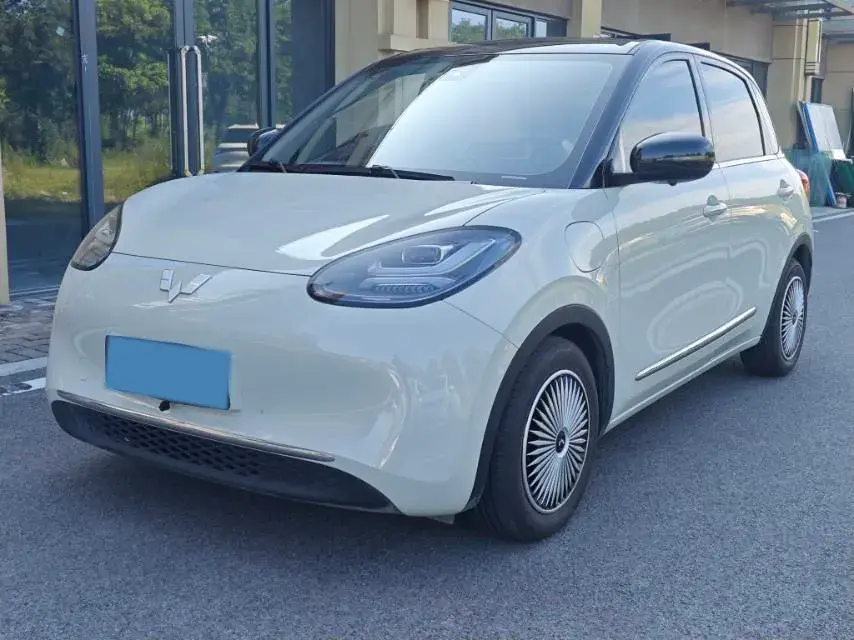 2023 WuLing BinGuo BEV 31.9KWH