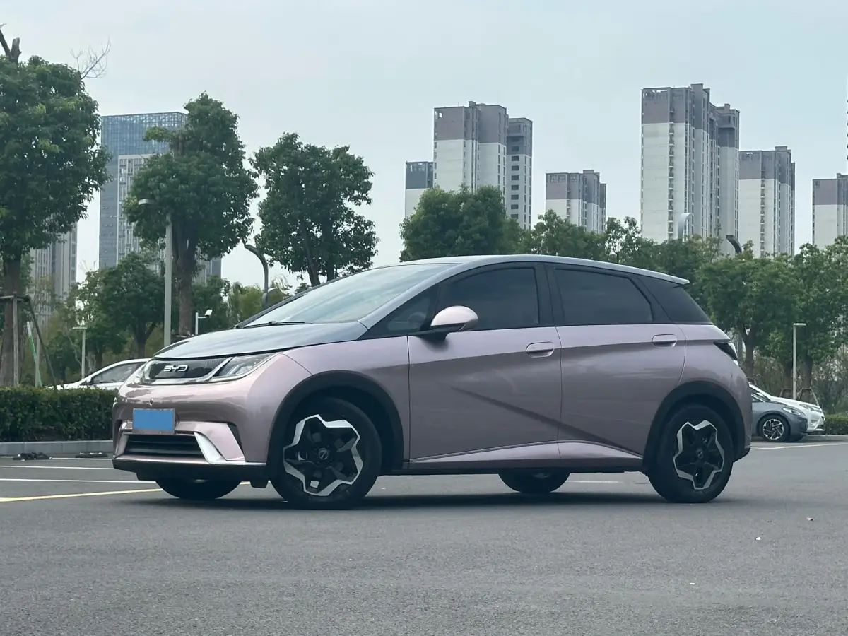 2021 BYD Dolphin BEV 44.9KWH