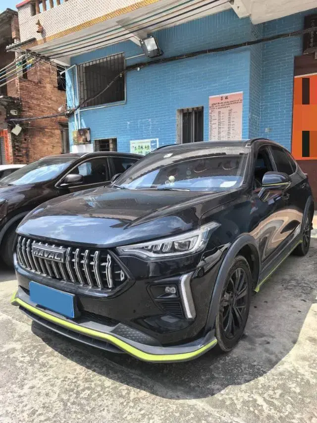 2021 HAVAL RABBIT view 1