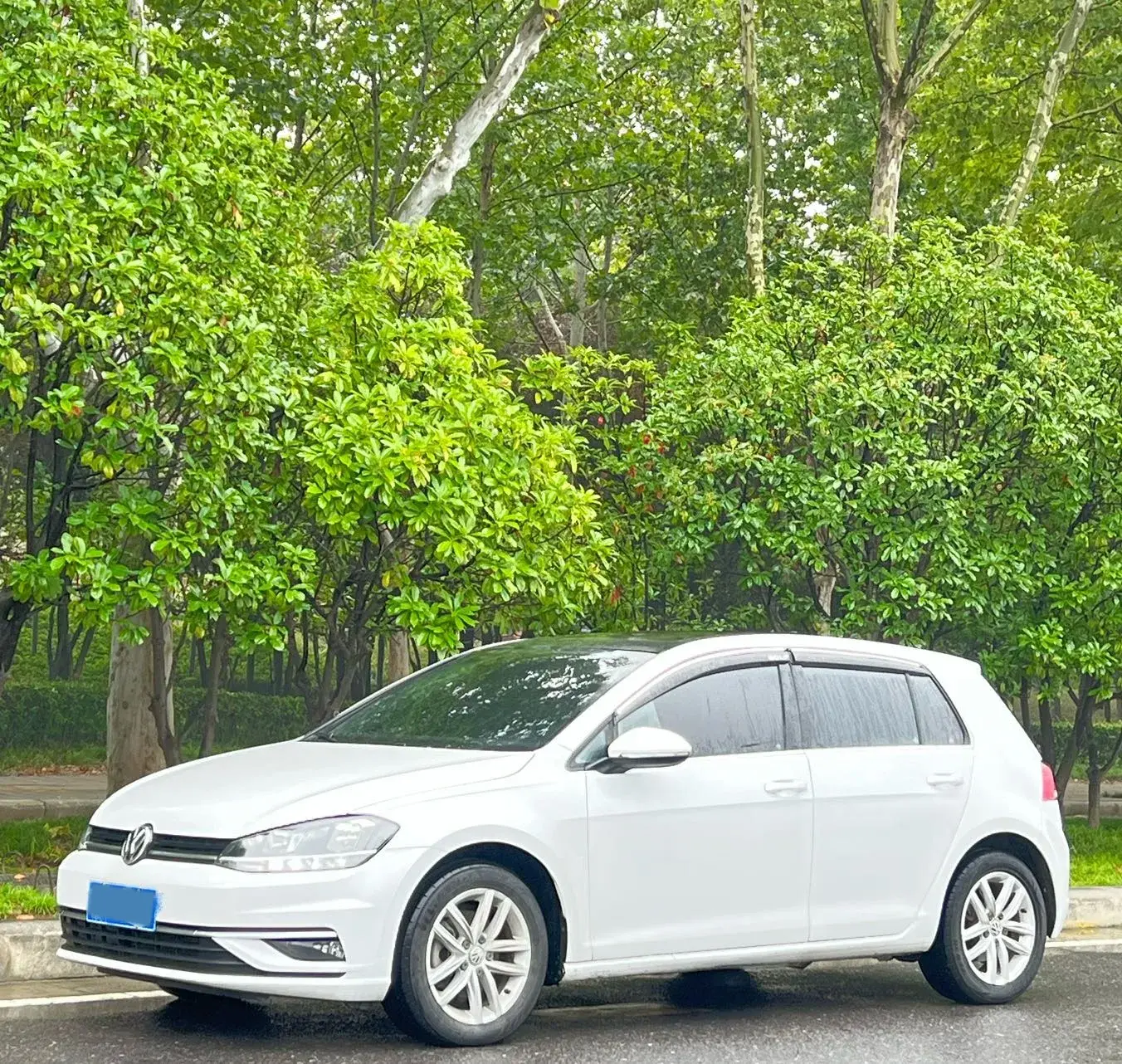 2019 VOLKSWAGEN GOLF view 1