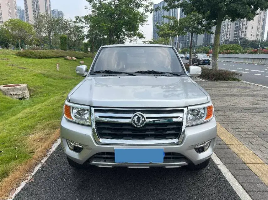 2019 DONGFENG RUIQI thumbnail 3
