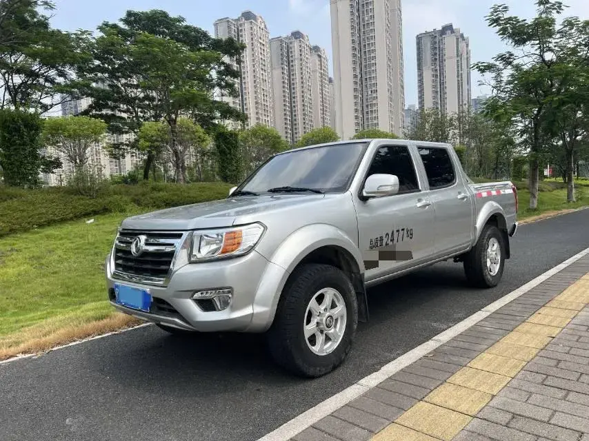 2019 DONGFENG RUIQI view 1