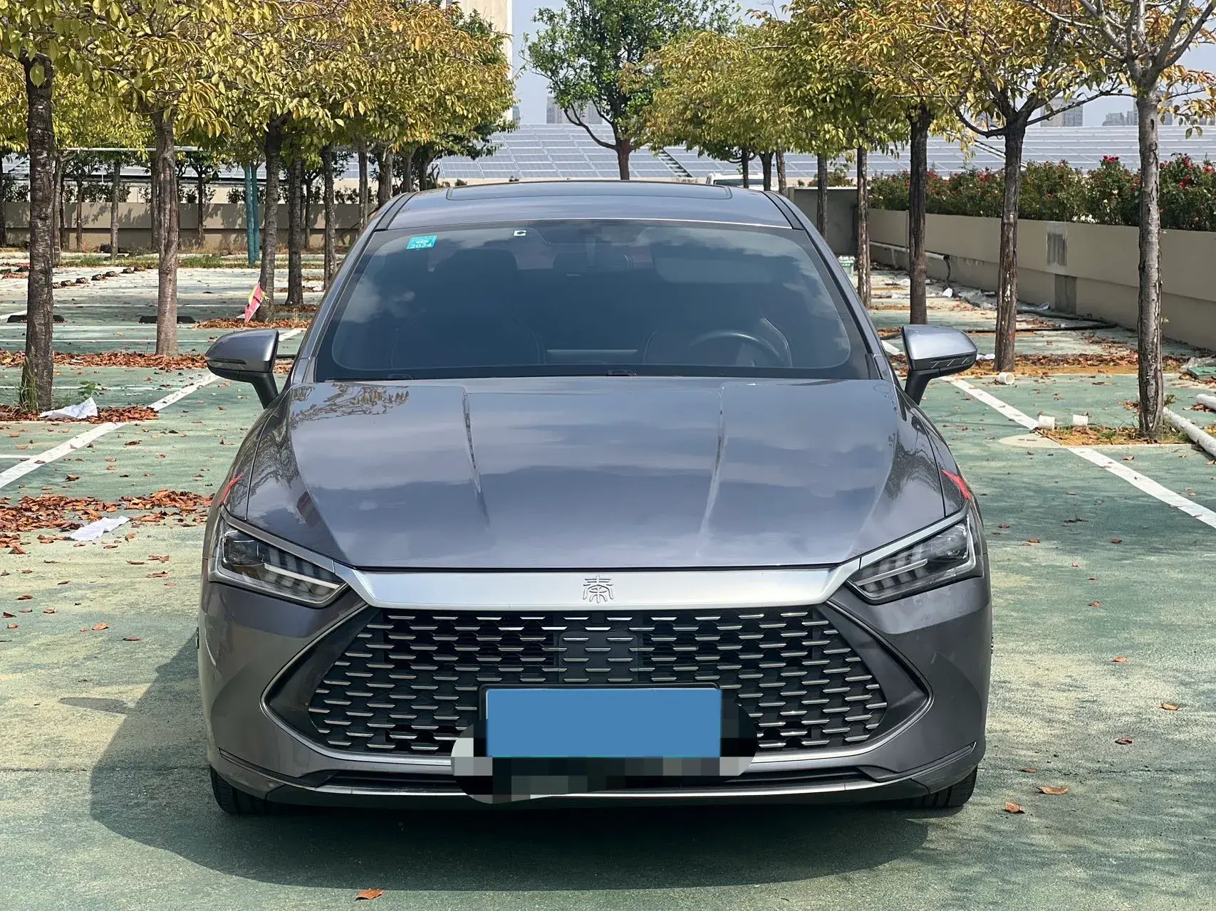 2021 BYD QIN thumbnail 2