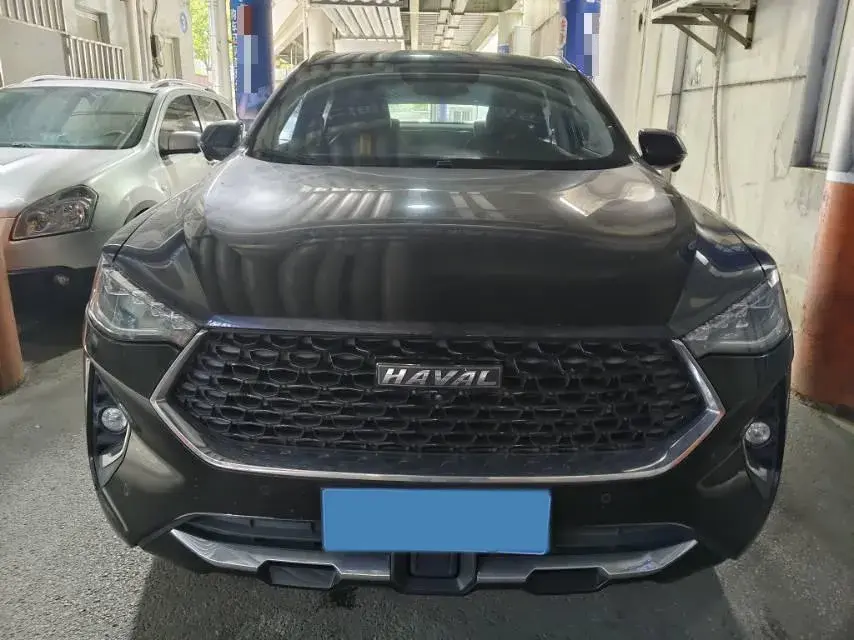 2021 HAVAL F7X thumbnail 2